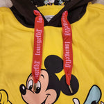 Disney 100 Mickey & Friends Classic Color Block Hoodie Unisex XL